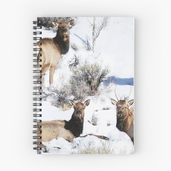 Item preview, Elk On A Colorado Winter Day designed and sold by Betsy Seeton.