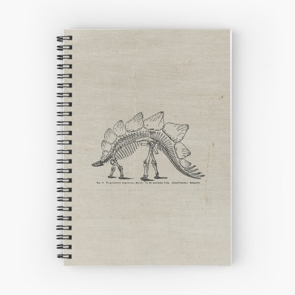 Item preview, Stegosaurus Skeleton designed and sold by RainyDayTees.