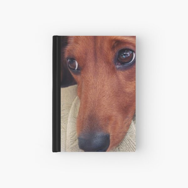 Schnitzal Hardcover Journal