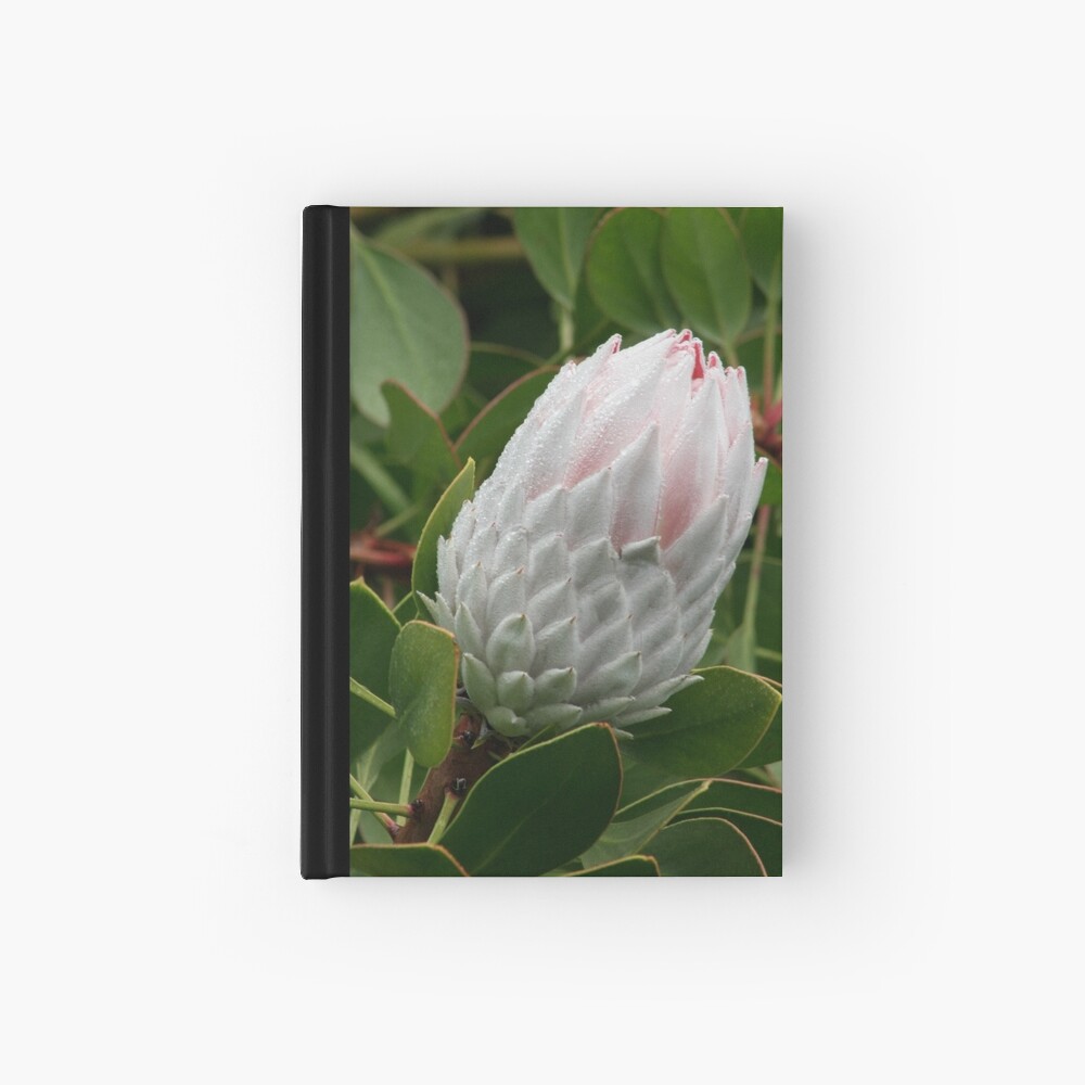 Item preview, Hardcover Journal designed and sold by Kells.