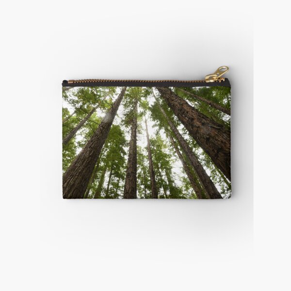 Item preview, UP THROUGH THE CANOPY designed and sold by kazaroodie.