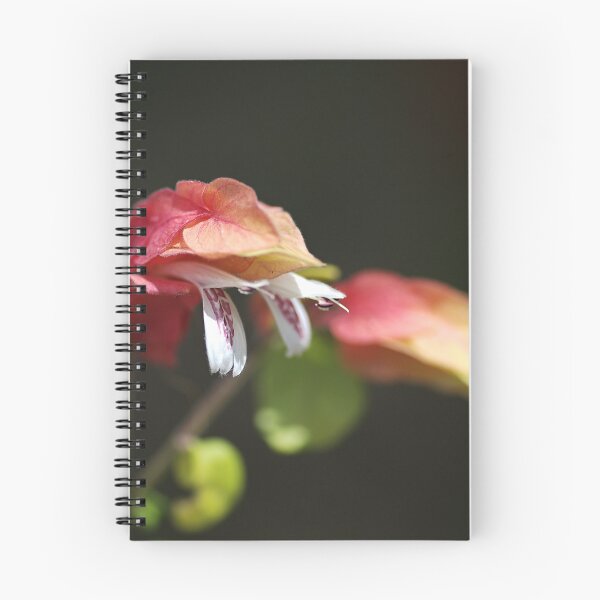 Item preview, Flowering Shrimp Plant designed and sold by Joy Watson - Natural Light Photography .