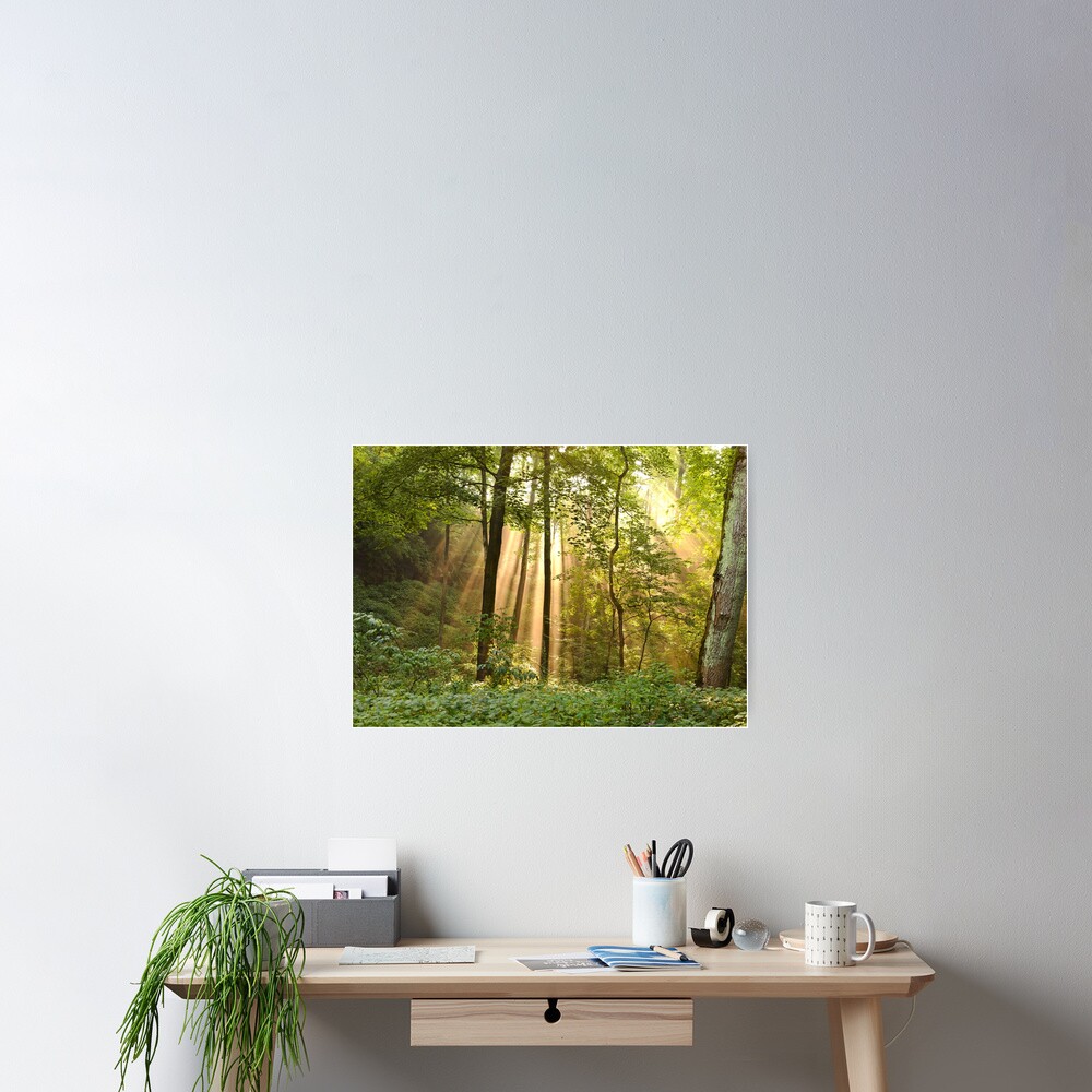 Rays of Sunlight Poster