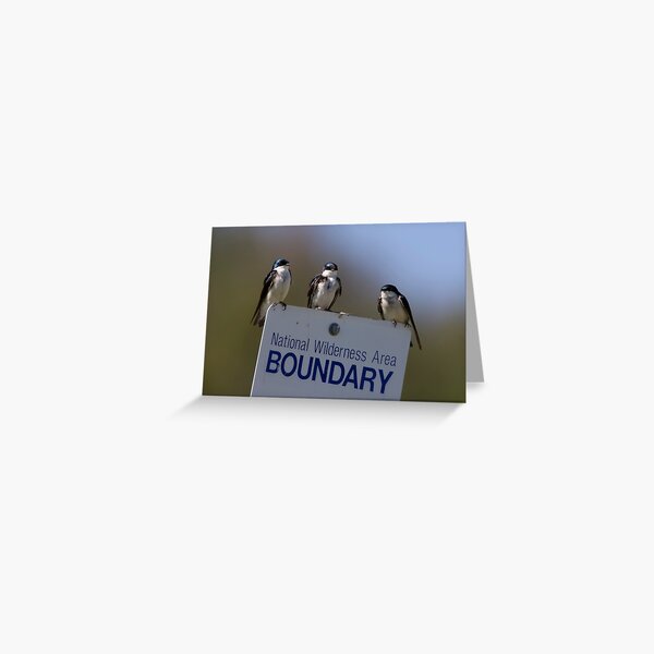 Border Patrol Greeting Card