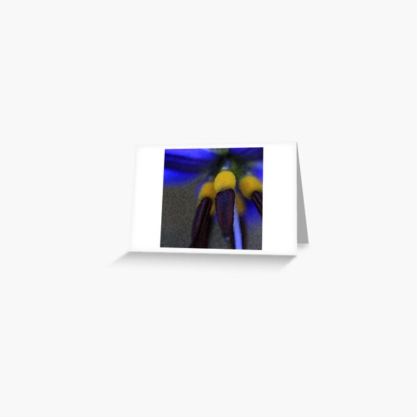 Flax-Lily Greeting Card