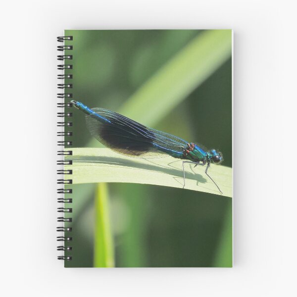 Item preview, Banded Demioselle Damselfly designed and sold by Jim Key.