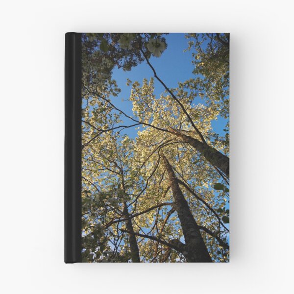 Artikelvorschau, dogwoods entworfen und verkauft von Bill vander Sluys.
