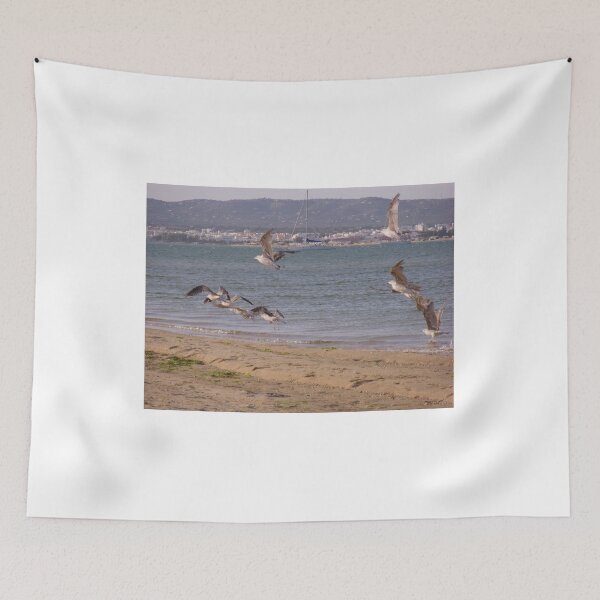 Item preview, Seagulls Ilha da Culatra designed and sold by CremildeG.