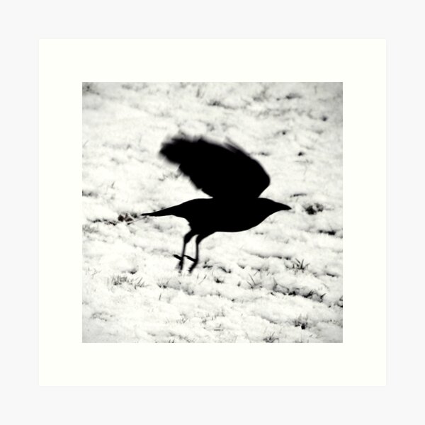 Blackbird: ...fly... Art Print