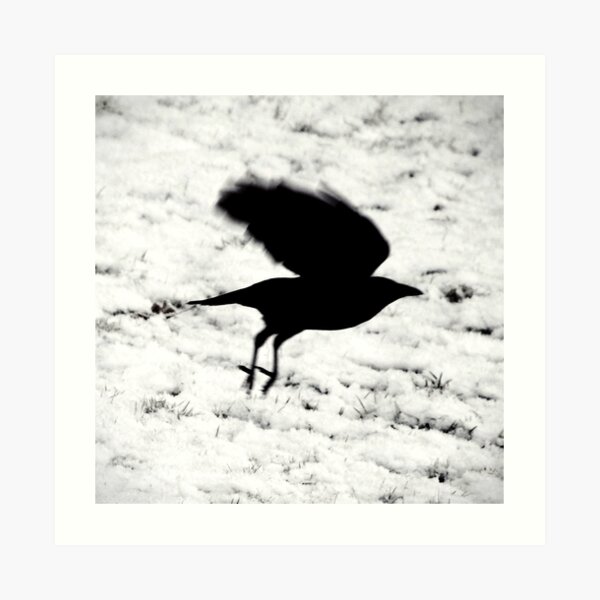Blackbird: ...fly... Art Print