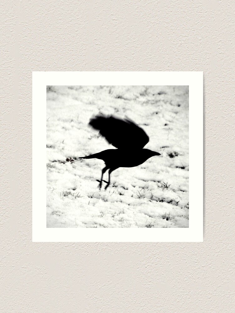 Thumbnail 1 of 3, Art Print, Blackbird: ...fly... designed and sold by Coigach.
