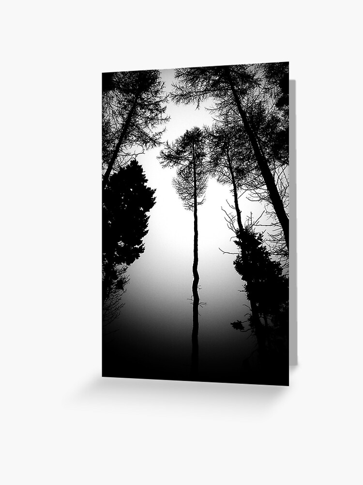 Thumbnail 1 of 2, Greeting Card, Serpentine Pine designed and sold by Coigach.
