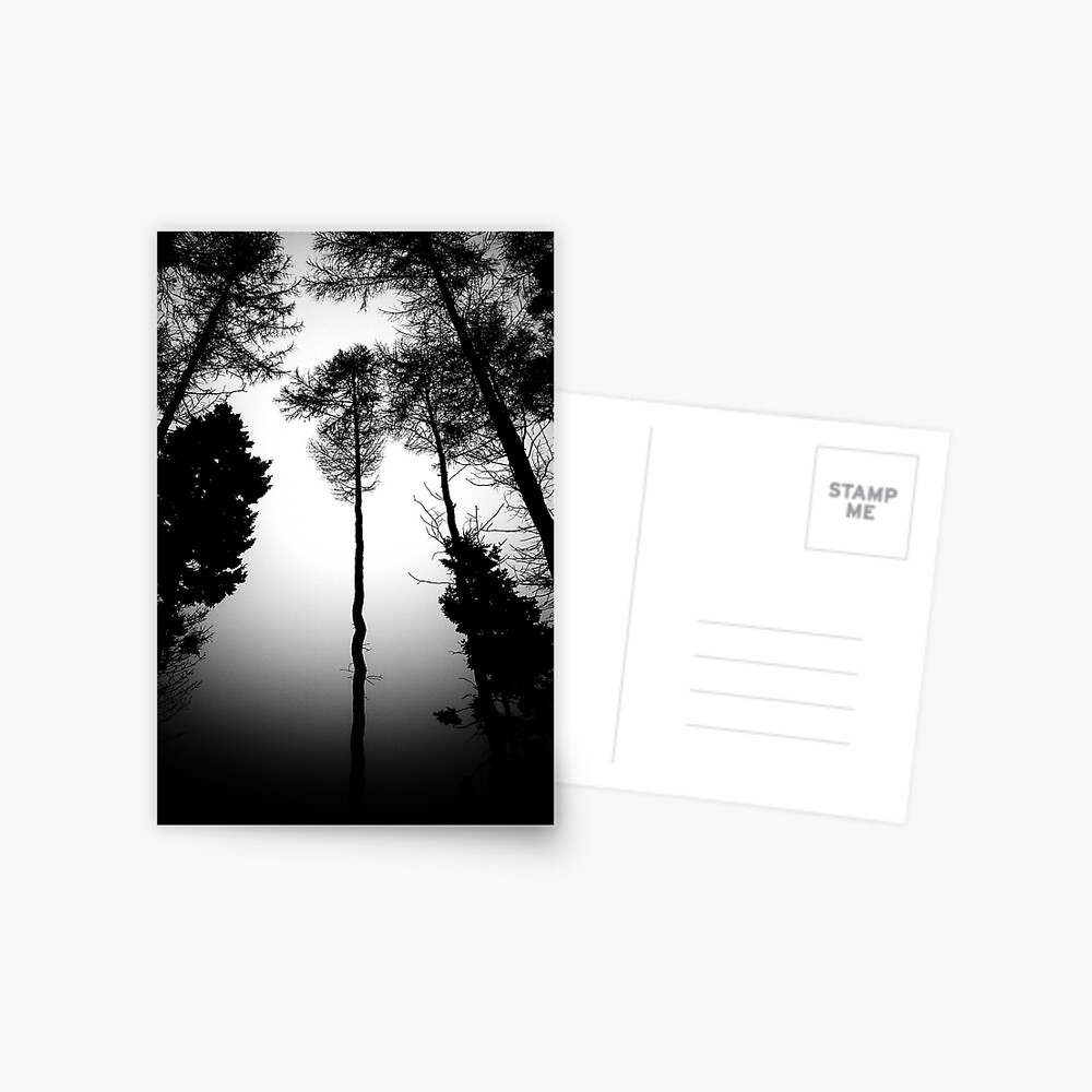 Item preview, Postcard designed and sold by Coigach.