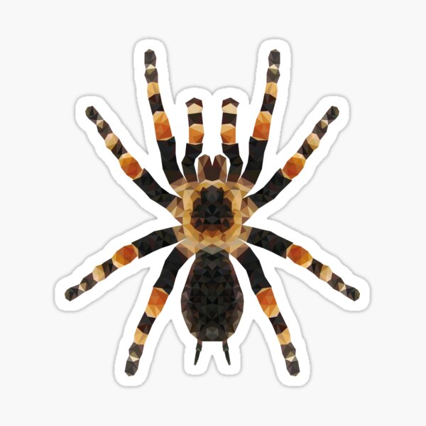 Artikel-Vorschau von Polygon Vogelspinne Brachypelma smithi Tarantel, designt und verkauft von digidesign.