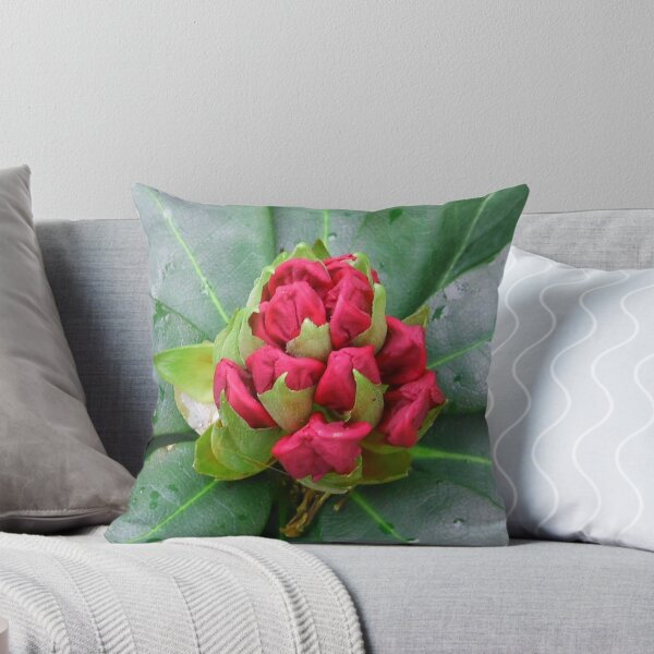 Item preview, Red Rhodo Bud Emerging designed and sold by Kathryn Jones.