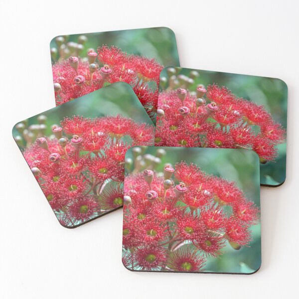 Item preview, Red Flowering Gum designed and sold by Cloudlingpics.