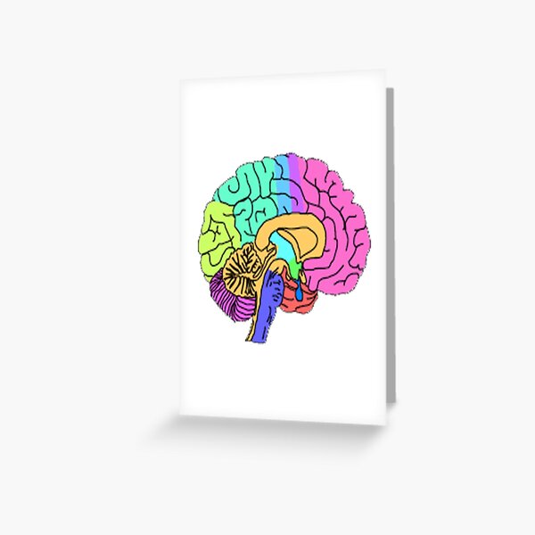Artikel-Vorschau von Multi-Color Brain - Mentale Gesundheit, designt und verkauft von SerpentSkyArts.