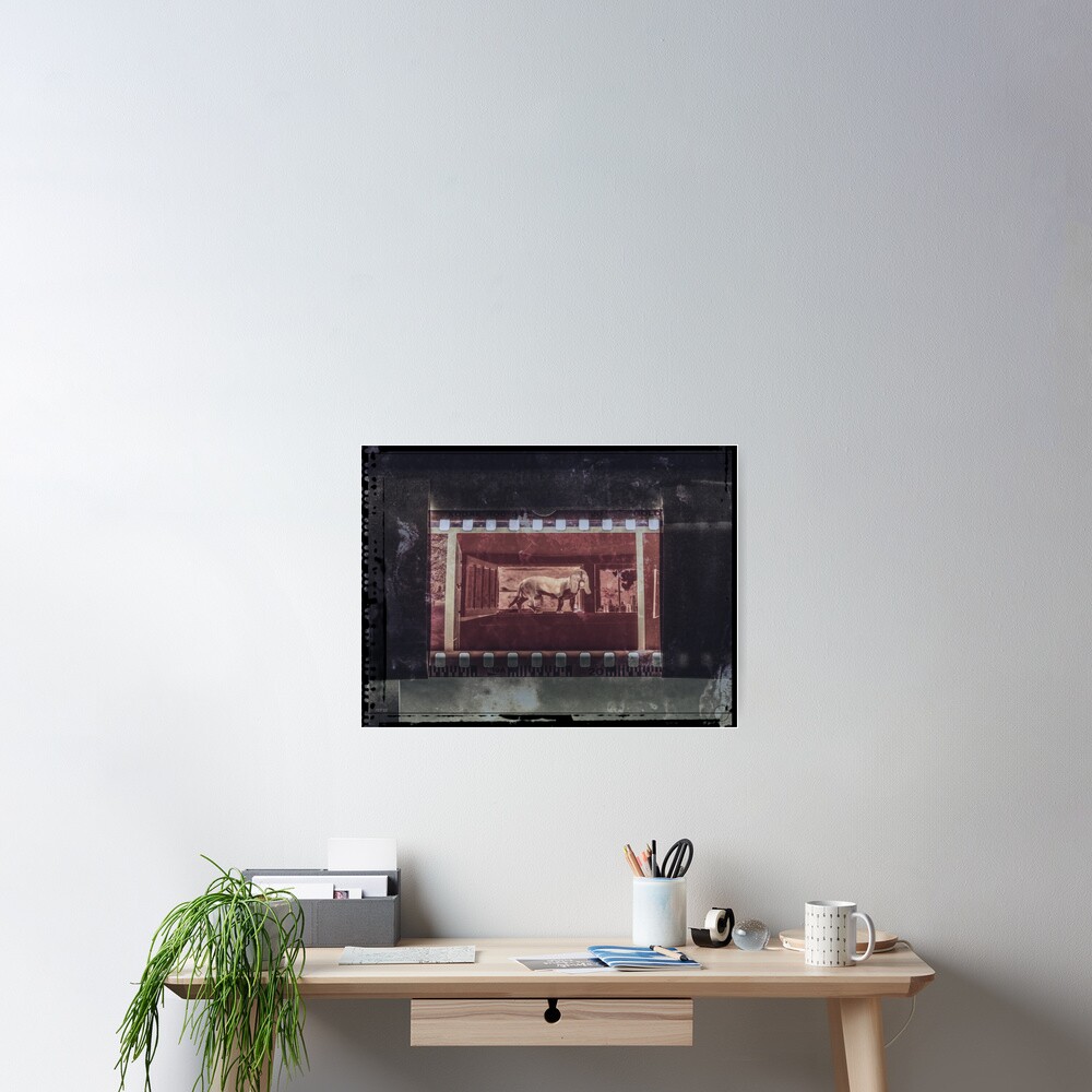 Dog In The Window Poster