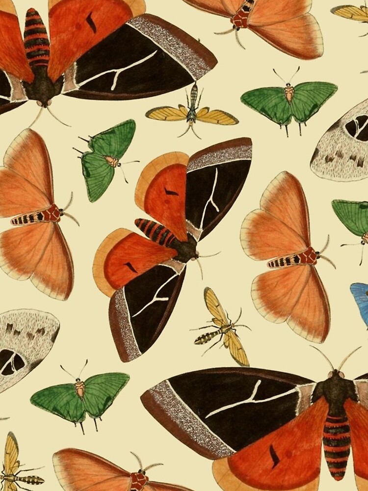Vintage Butterflies by dickybow