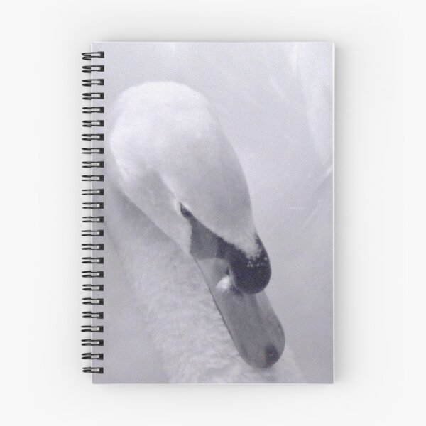 Item preview, White swan designed and sold by alanoix.