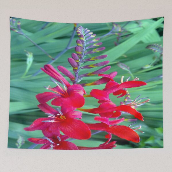 Item preview, Red and Green should always be seen  designed and sold by Merice  Ewart Marshall.