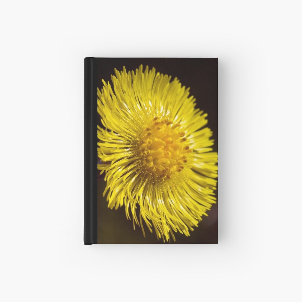 Colt's-foot (Tussilago farfara) Hardcover Journal
