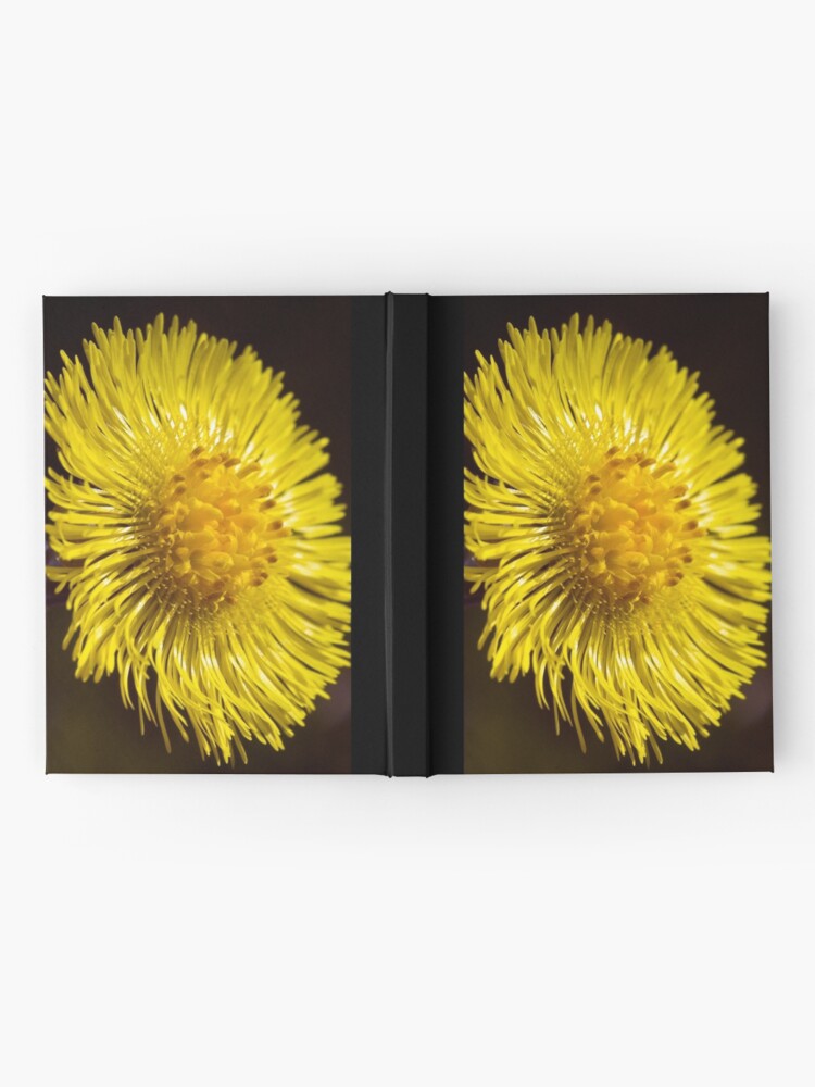 Alternate view of Colt's-foot (Tussilago farfara) Hardcover Journal