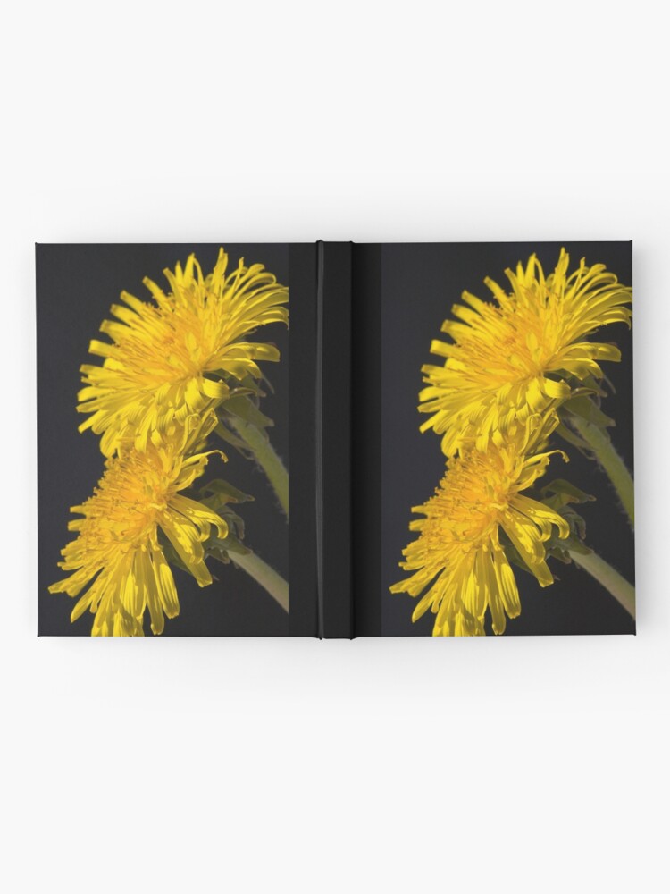 Alternate view of Three Dandelions (Taraxacum officinale) Hardcover Journal