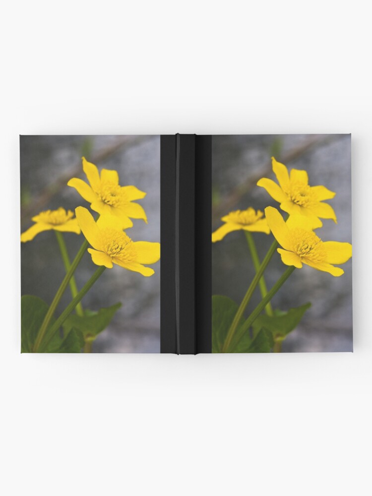 Alternate view of Lesser Celandine (Ranunculus ficaria) Hardcover Journal