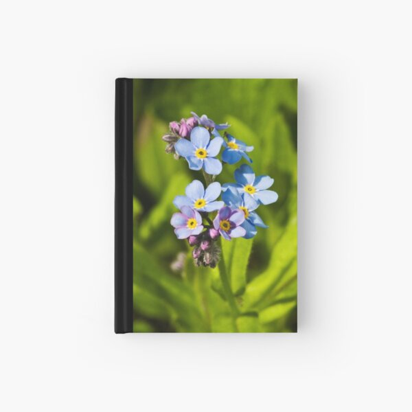 Forget-me-not Flowers (Myosotis arvensis) Hardcover Journal