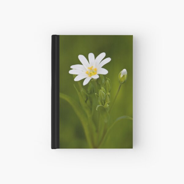 Greater Stitchwort (Stellaria palustris) Hardcover Journal