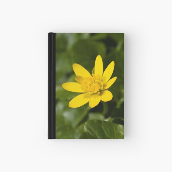 Lesser Celandine (Ranunculus ficaria) Hardcover Journal