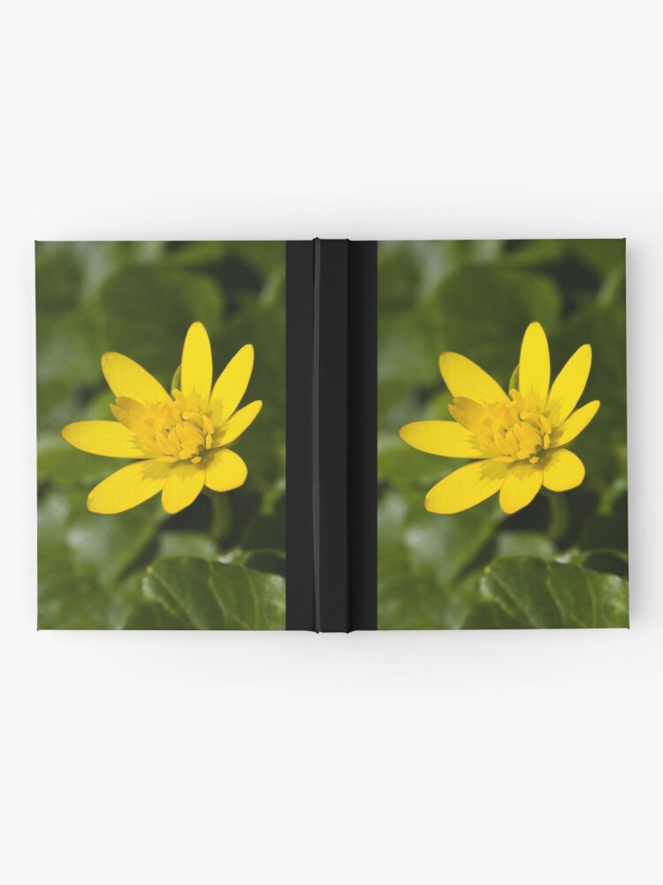 Alternate view of Lesser Celandine (Ranunculus ficaria) Hardcover Journal