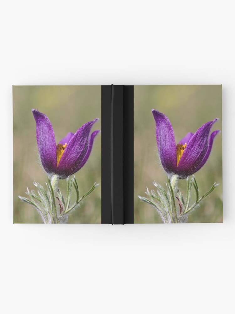 Alternate view of Pasqueflower (Pulsitilla vulgaris) Hardcover Journal