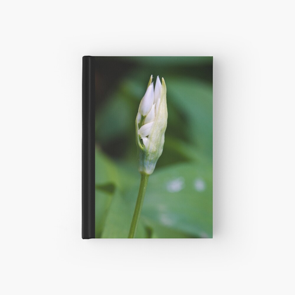 Ramson (Alium Ursinum) Hardcover Journal