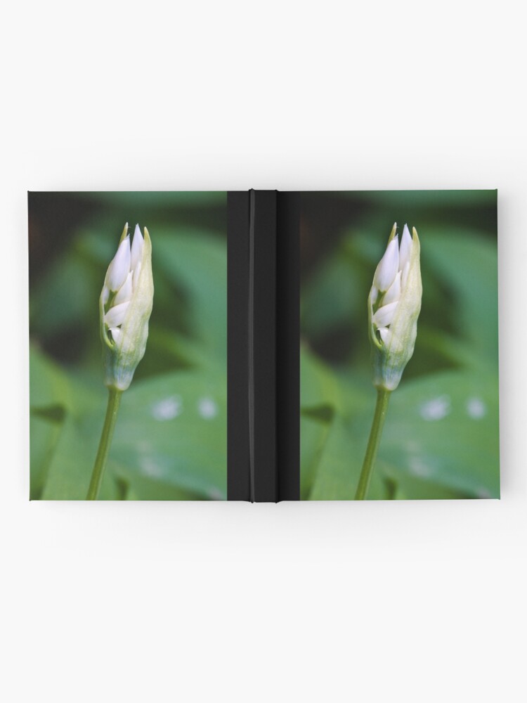 Alternate view of Ramson (Alium Ursinum) Hardcover Journal