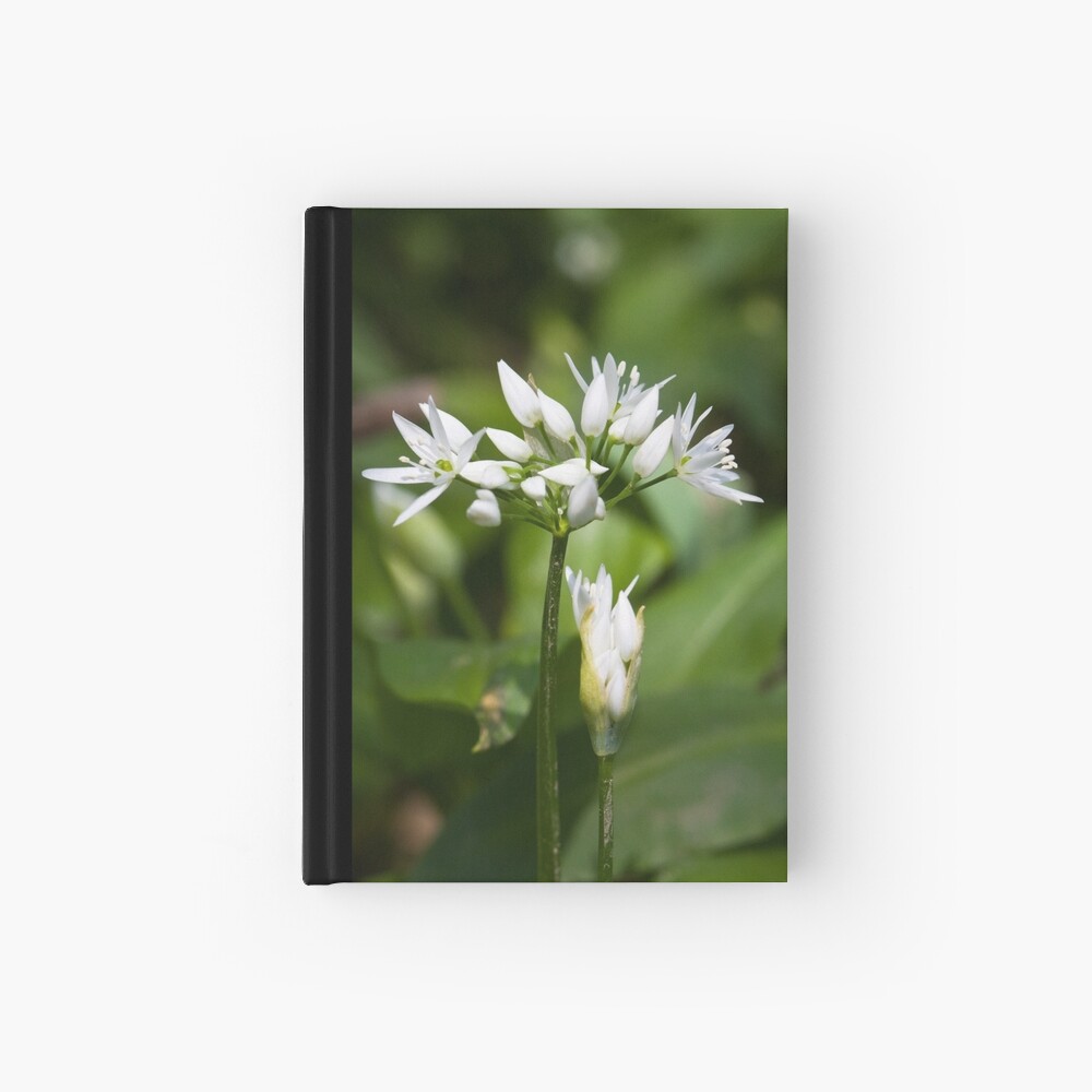 Ramson (Alium Ursinum) Hardcover Journal