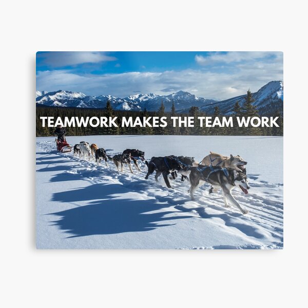 Download Teamwork teamarbeit sprueche For iPhone