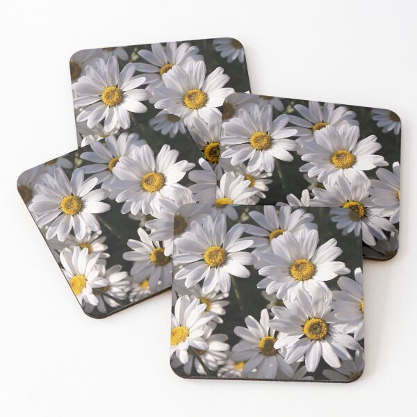Item preview, Large White Daisies designed and sold by pinkal.