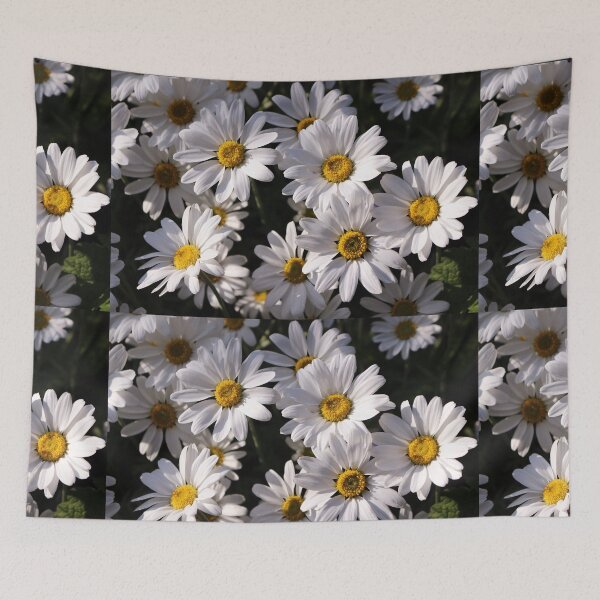 Item preview, Large White Daisies designed and sold by pinkal.