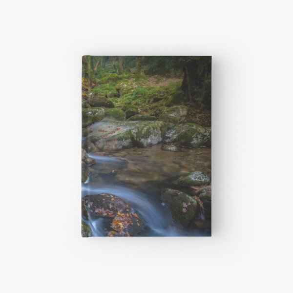 Shaugh Prior & The River Plym Hardcover Journal
