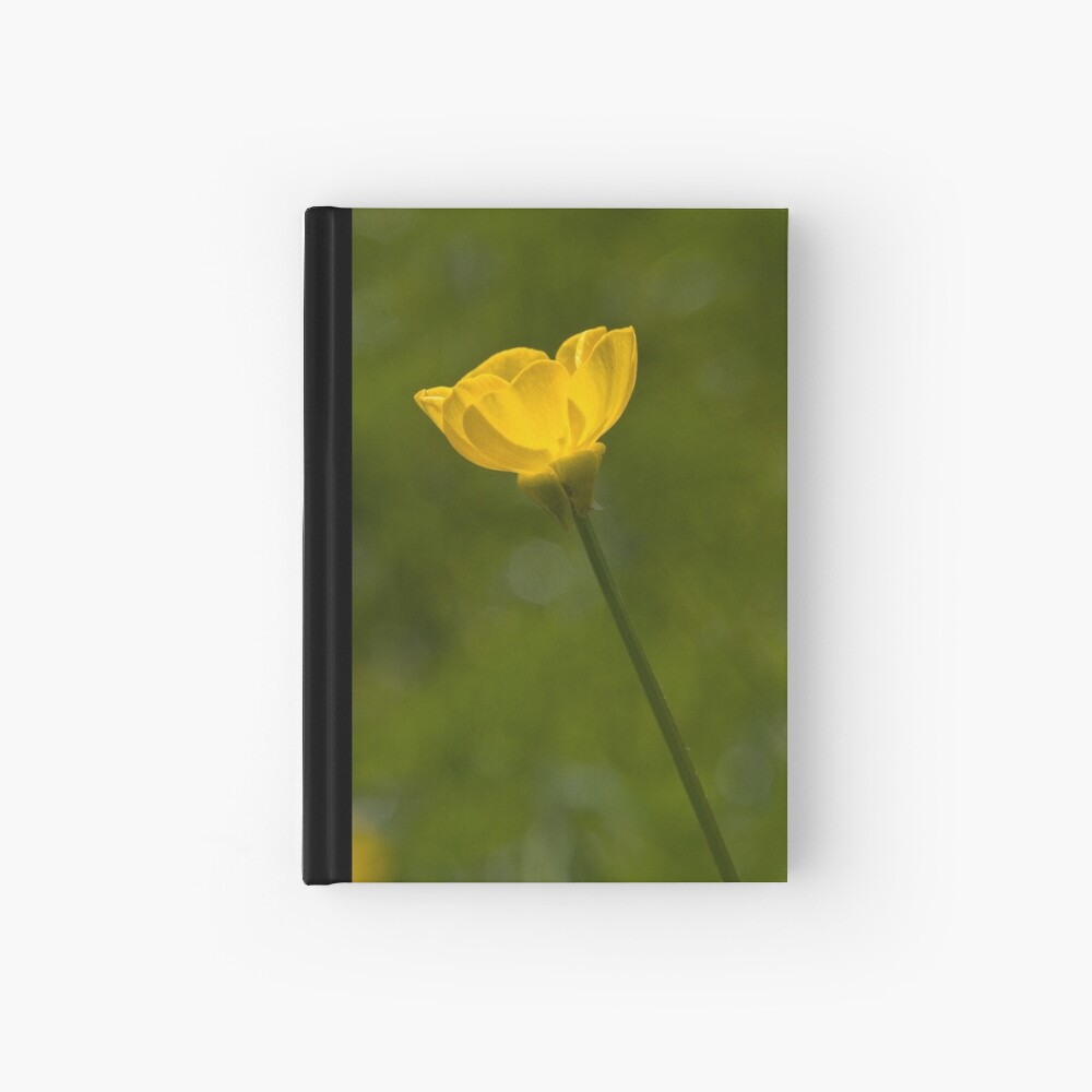 Bulbous Buttercup (Ranunculus bulbosus) Hardcover Journal
