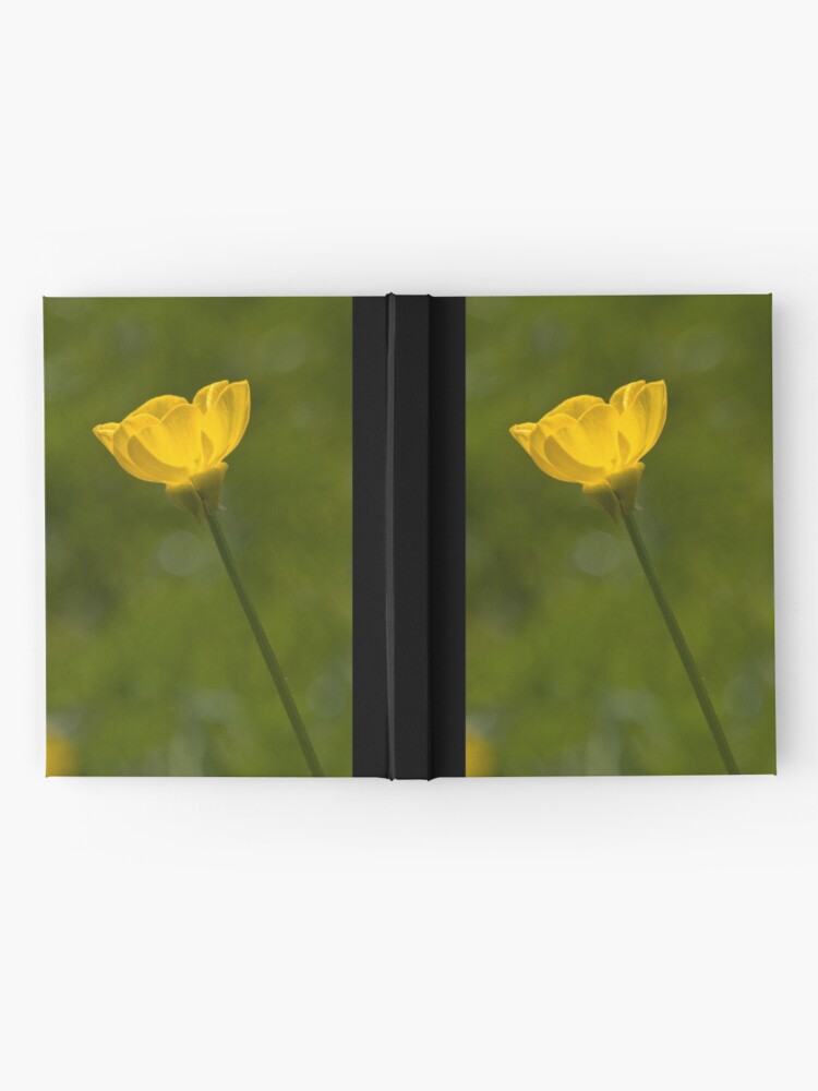 Alternate view of Bulbous Buttercup (Ranunculus bulbosus) Hardcover Journal