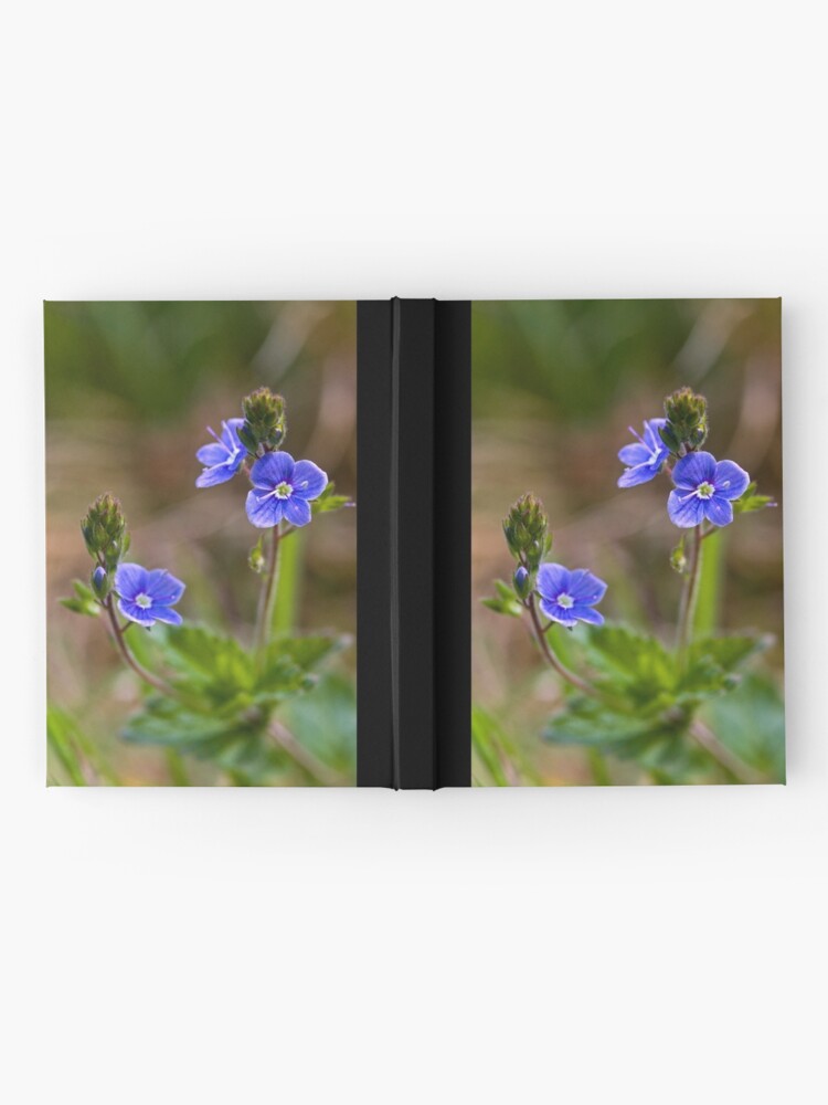 Alternate view of Germander Speedwell (Veronica chamaedrys) Hardcover Journal