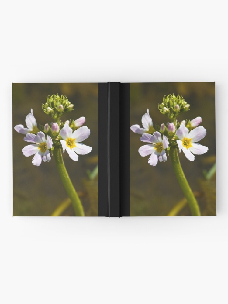 Alternate view of Water Violet (Hottonia palustris) Hardcover Journal