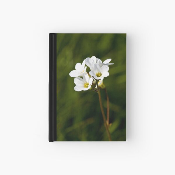 Meadow Saxifrage (Saxifraga granulata) Hardcover Journal