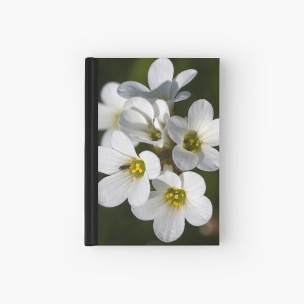 Meadow Saxifrage (Saxifraga granulata) Hardcover Journal
