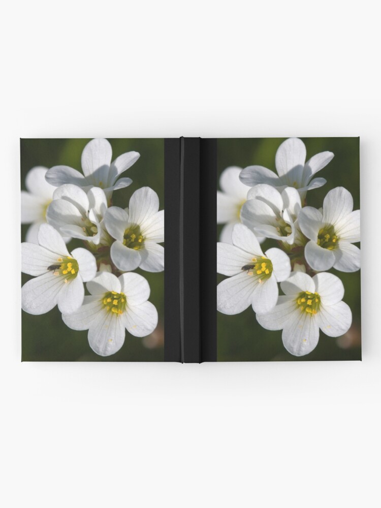 Alternate view of Meadow Saxifrage (Saxifraga granulata) Hardcover Journal