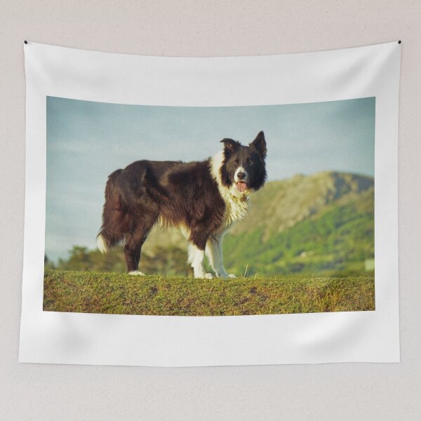 Item preview, Legend. designed and sold by Michael Haslam.
