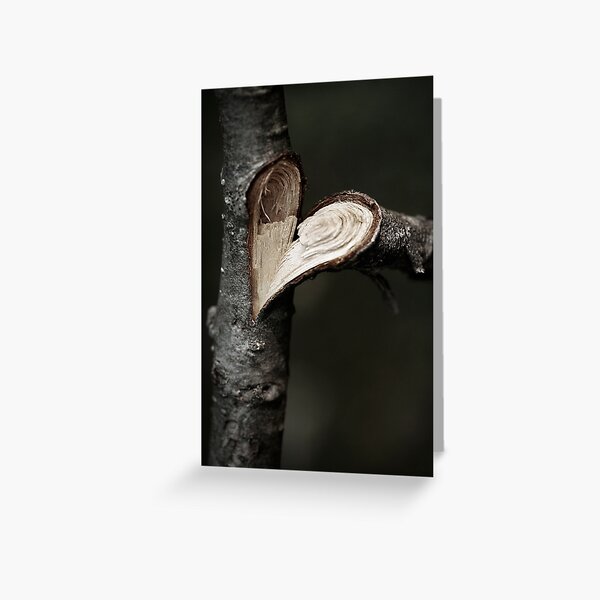 Broken Open Greeting Card